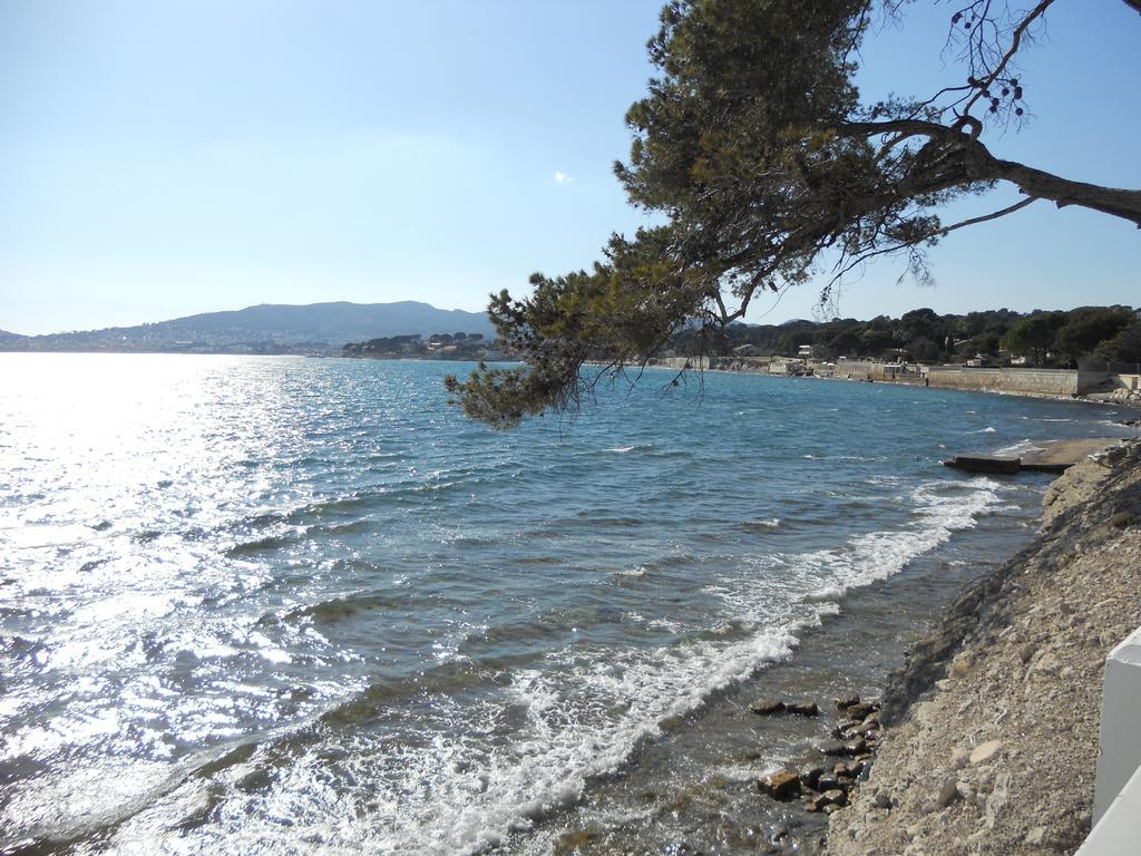 Studio Le Peneque Des Anges La Ciotat Ruang foto