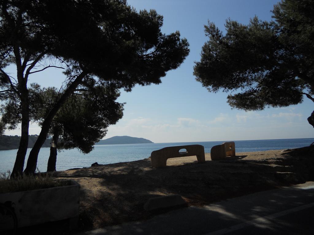 Studio Le Peneque Des Anges La Ciotat Ruang foto