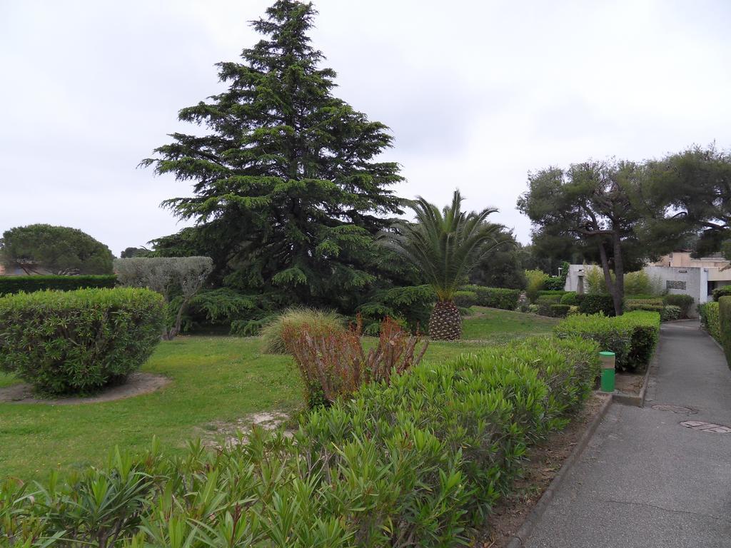 Studio Le Peneque Des Anges La Ciotat Ruang foto