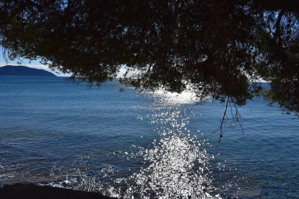 Studio Le Peneque Des Anges La Ciotat Bagian luar foto